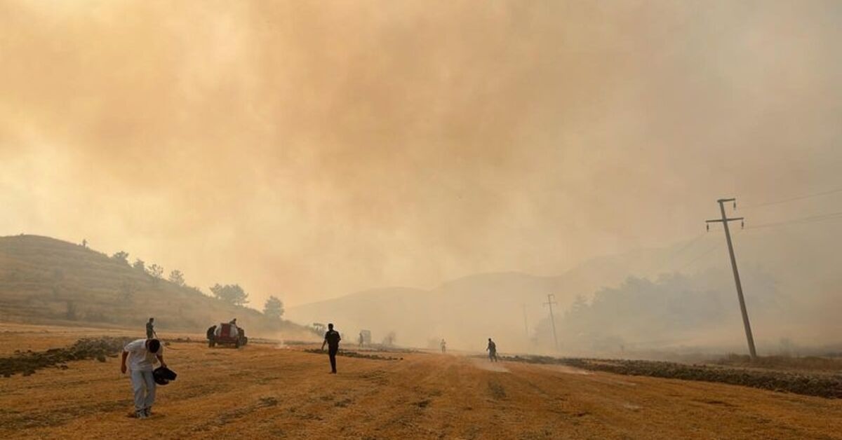 ¡Incendio forestal en 4 ciudades!