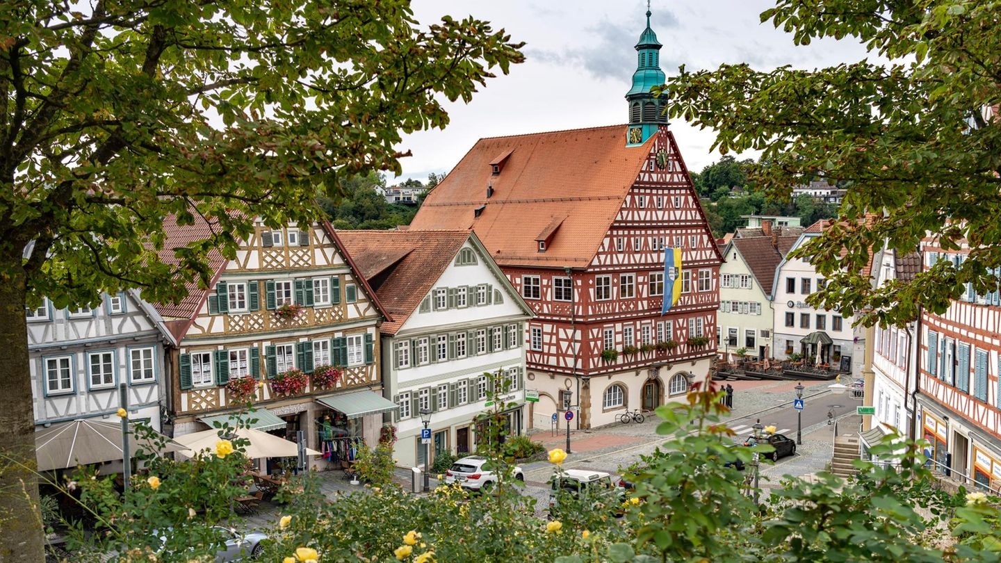 Brújula inmobiliaria: Región de Stuttgart: donde los compradores aún pueden encontrar obras nuevas | Capital+