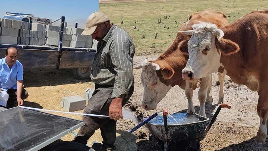 A frightening sight in Bitlis! 'They couldn't find their place'