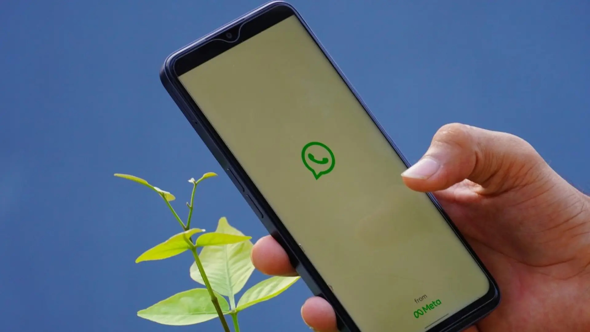 Can Meta's WhatsApp AI read your messages?
