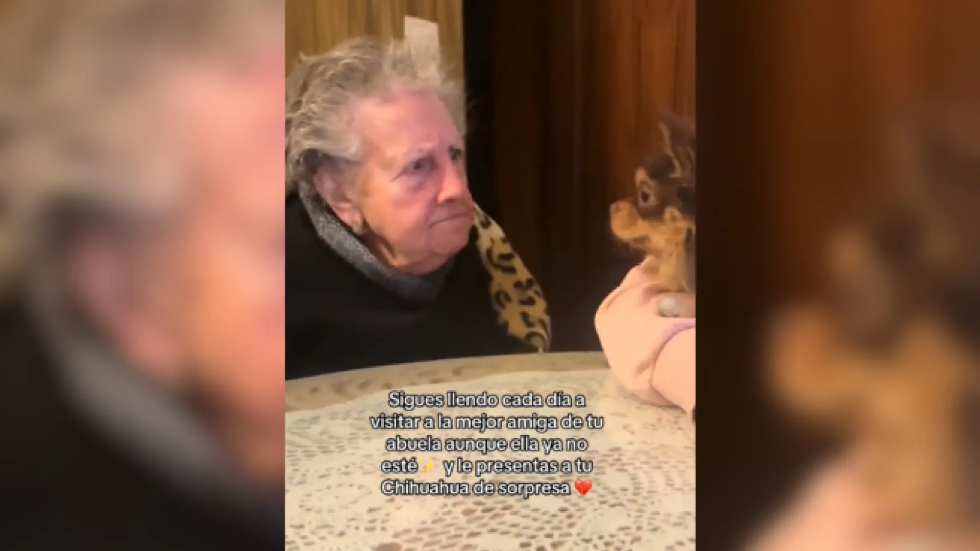 She lost her grandmother, but not the habit of visiting her best friend... and this time with a Chihuahua.