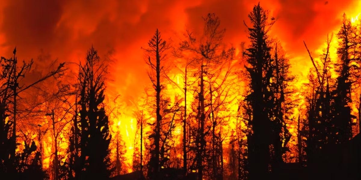Il Portogallo avverte del rischio di incendi a causa del previsto aumento delle temperature