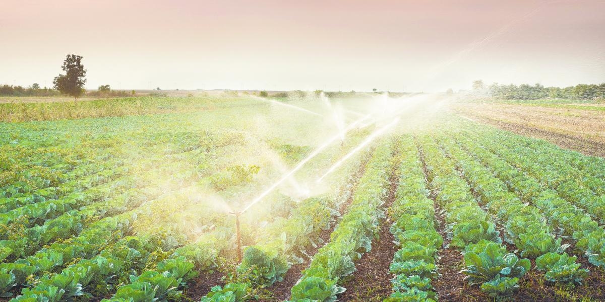 Chiapas zainwestuje 291 milionów pesos w infrastrukturę hydro-rolniczą.