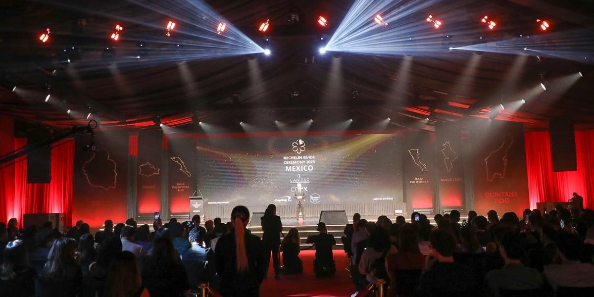 Michelin Guide 2025: Which restaurants earned the coveted stars?