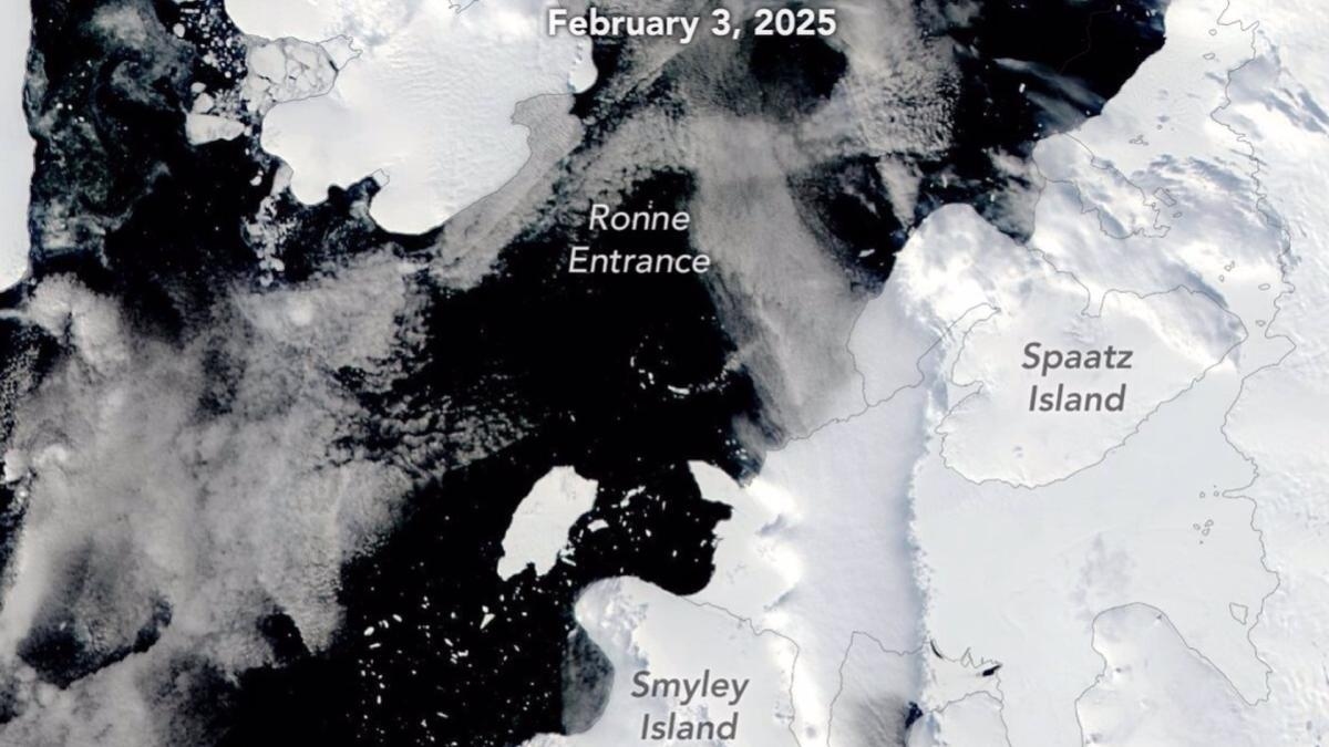 Novo iceberg do tamanho de Chicago se desprende da Antártida