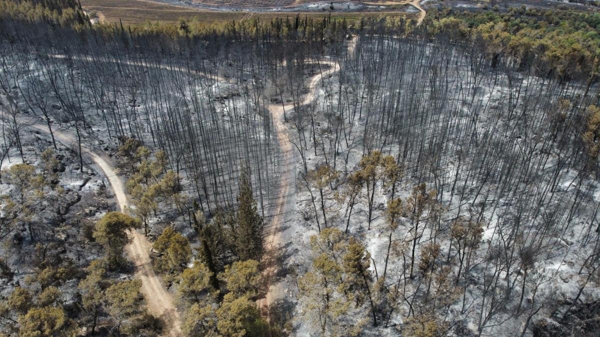 Israel detiene a personas señaladas de causar el grave incendio en Jerusalén; aún no logran controlar las llamas