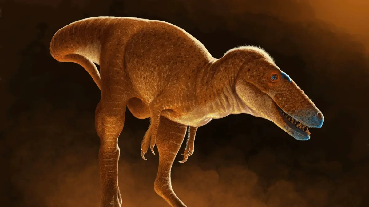 'Khankhuuluu', el 'príncipe de los dragones' que es el antepasado más cercano conocido de los tiranosaurios