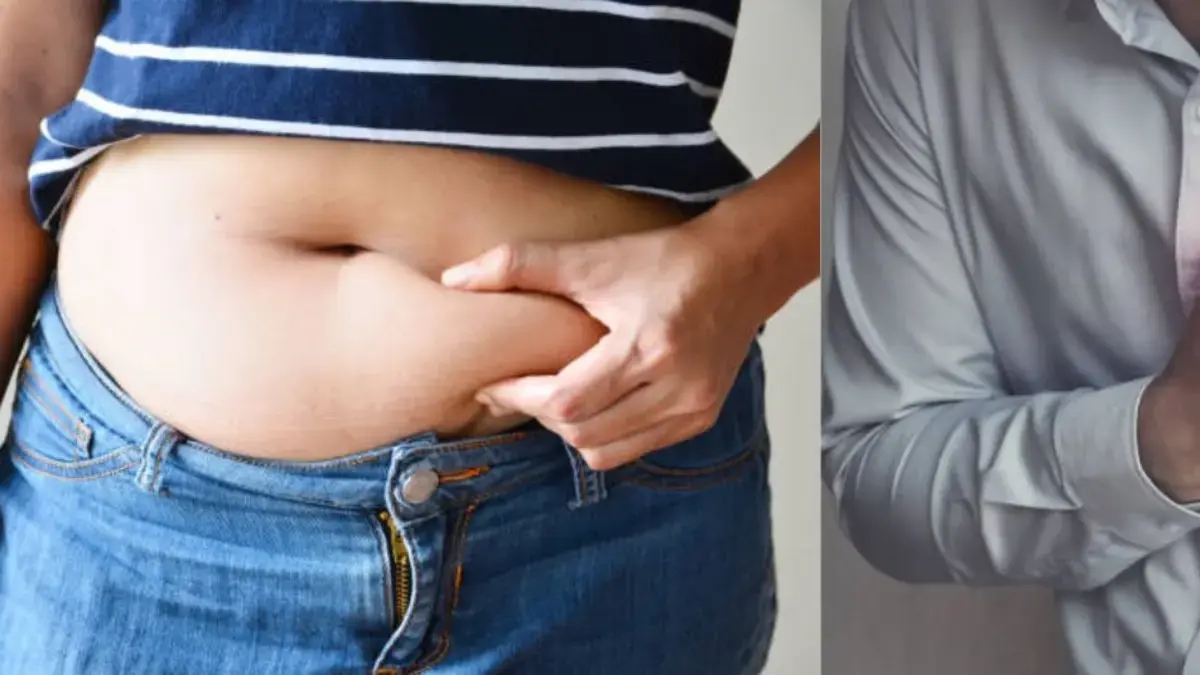 Visceral fat increases heart attack risk and stiffens the heart, according to a new study.