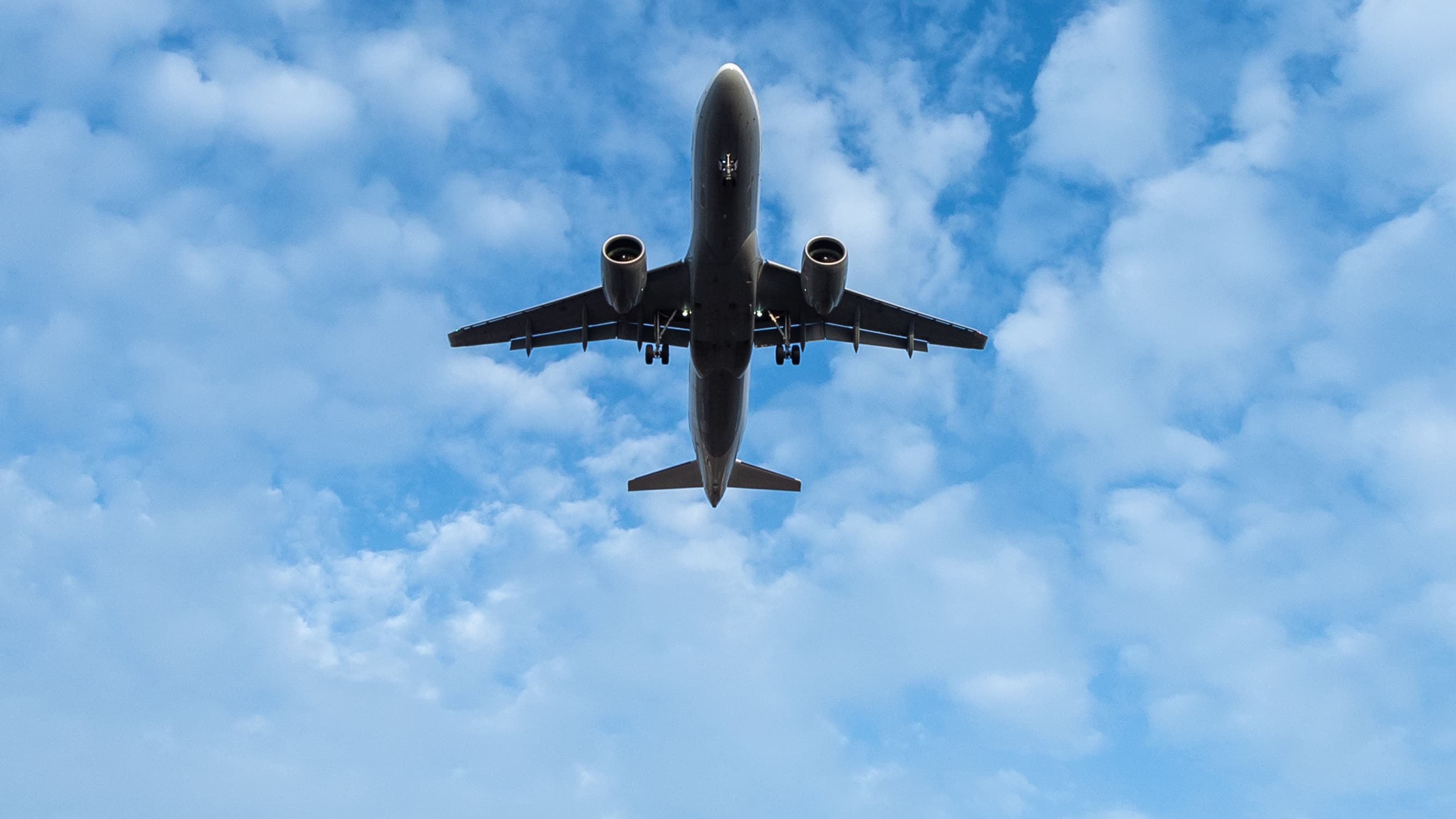"Cuatro o cinco veces más caro": estos productos son transportados por avión por particulares.