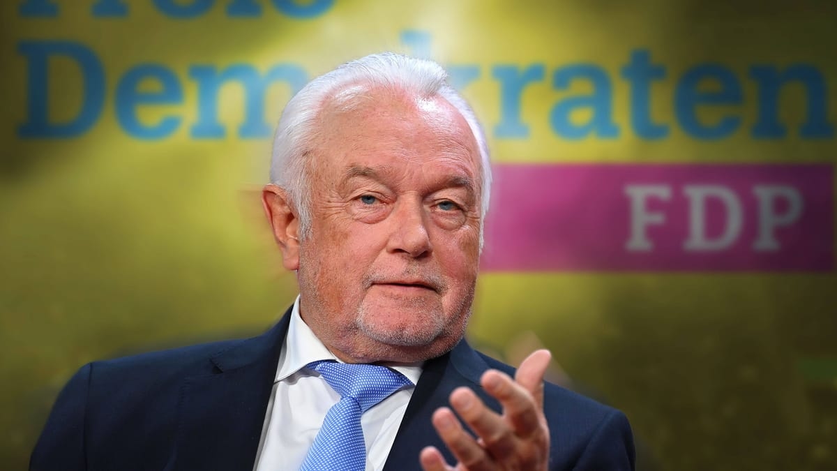 FDP exit: Kubicki on everyday challenges