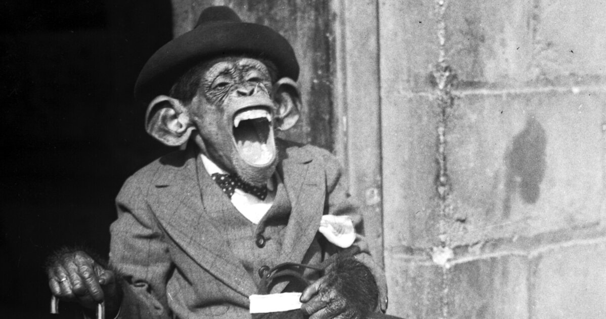 Sanık Darwin, ayağa kalkın. 1920'lerde Tennessee'de Scopes davasının öyküsü.