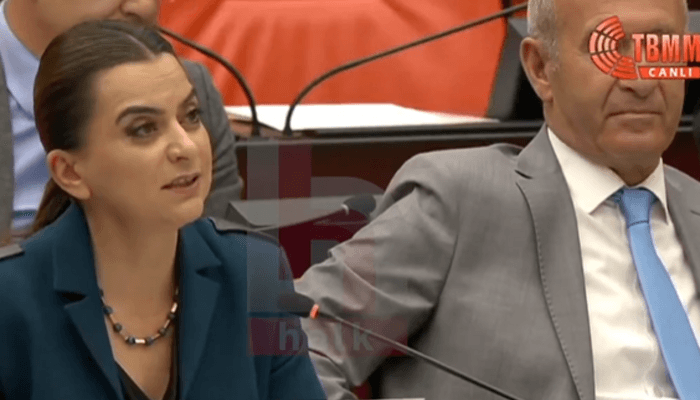 Das Mikrofon von Koçyiğit von der DEM-Partei wurde ausgeschaltet, als er in der Großen Nationalversammlung der Türkei Kurdisch sprach: „Das soll fürs Protokoll bleiben.“