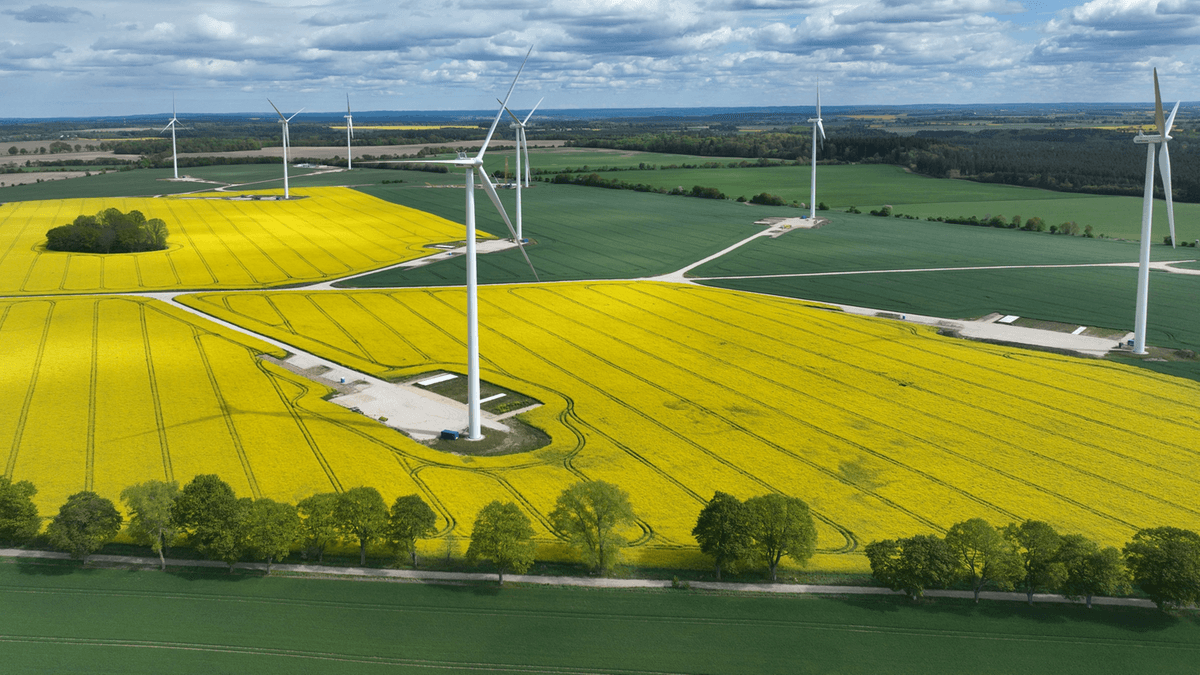 Eerste elektriciteit van het nieuwe windmolenpark van Polsat Plus Group en ZE PAK in Drzeżewo