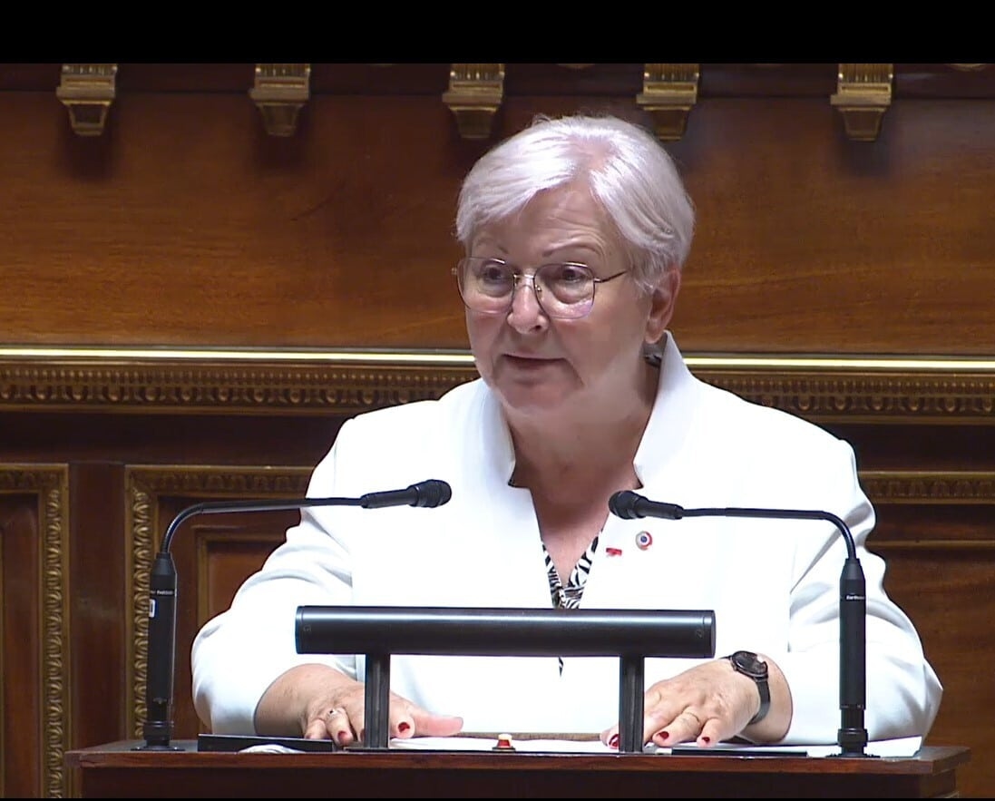 Emprego Sênior: Relatórios de Anne-Marie Nédélec, Votações no Senado