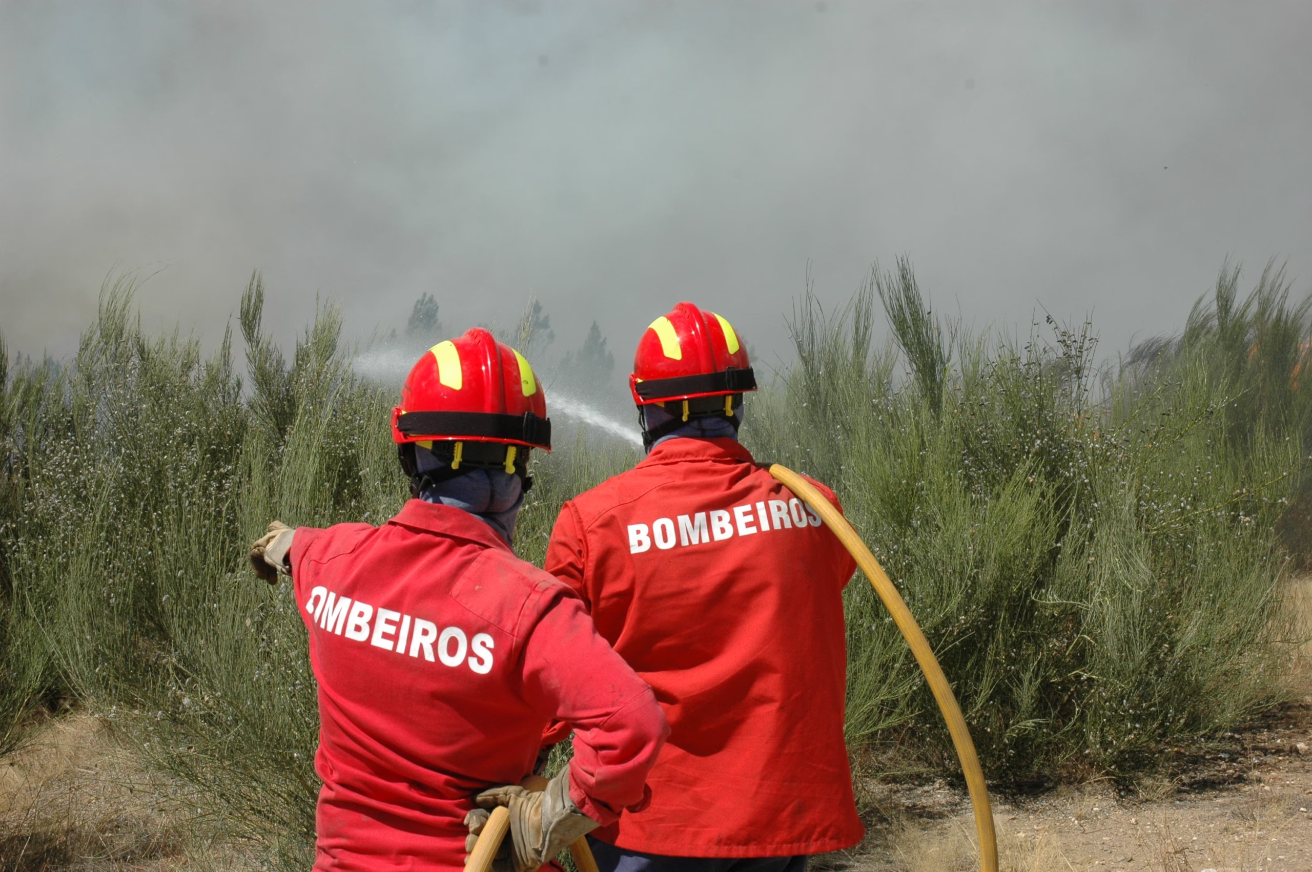 Bishop of Guarda expresses his closeness to the injured firefighters and the populations threatened by the fires