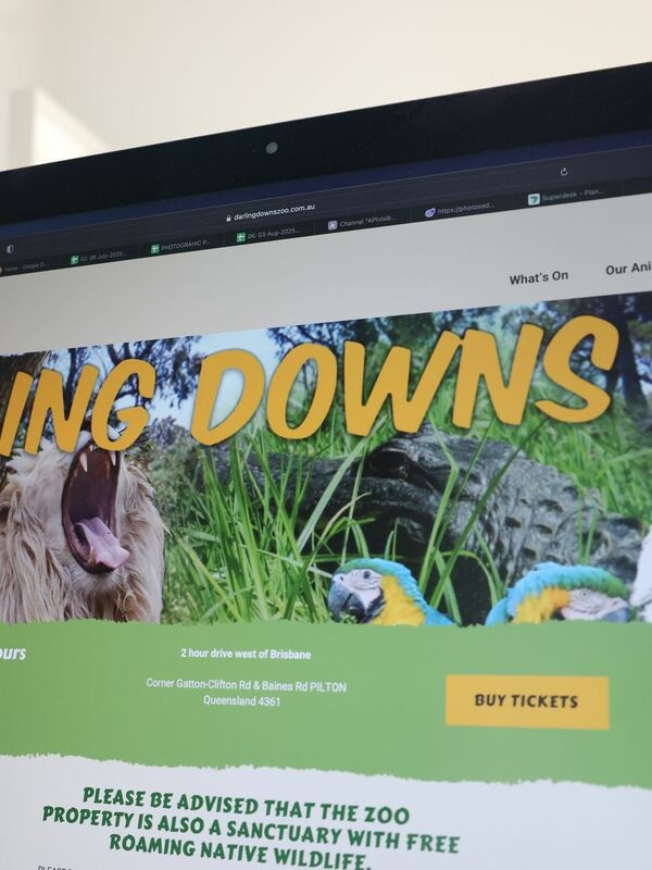 All'improvviso un leone in uno zoo australiano aggredisce una donna.