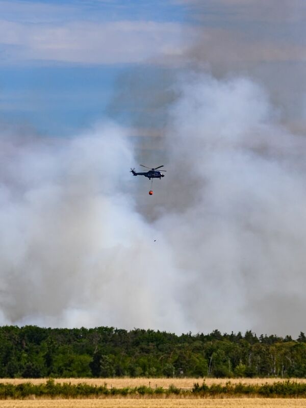Continua la lotta contro gli incendi boschivi a Gohrischheide.