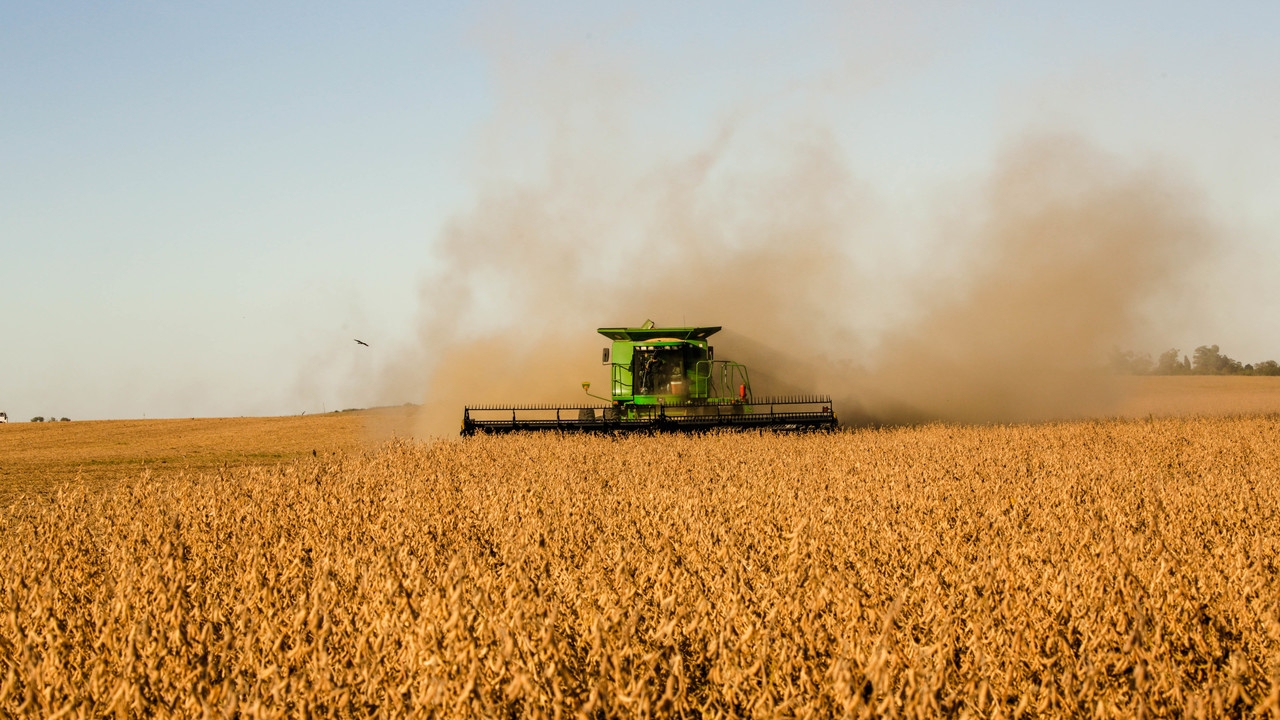 Le soja et le biodiesel devraient garantir plus de 6 % du PIB et 2,4 millions d'emplois