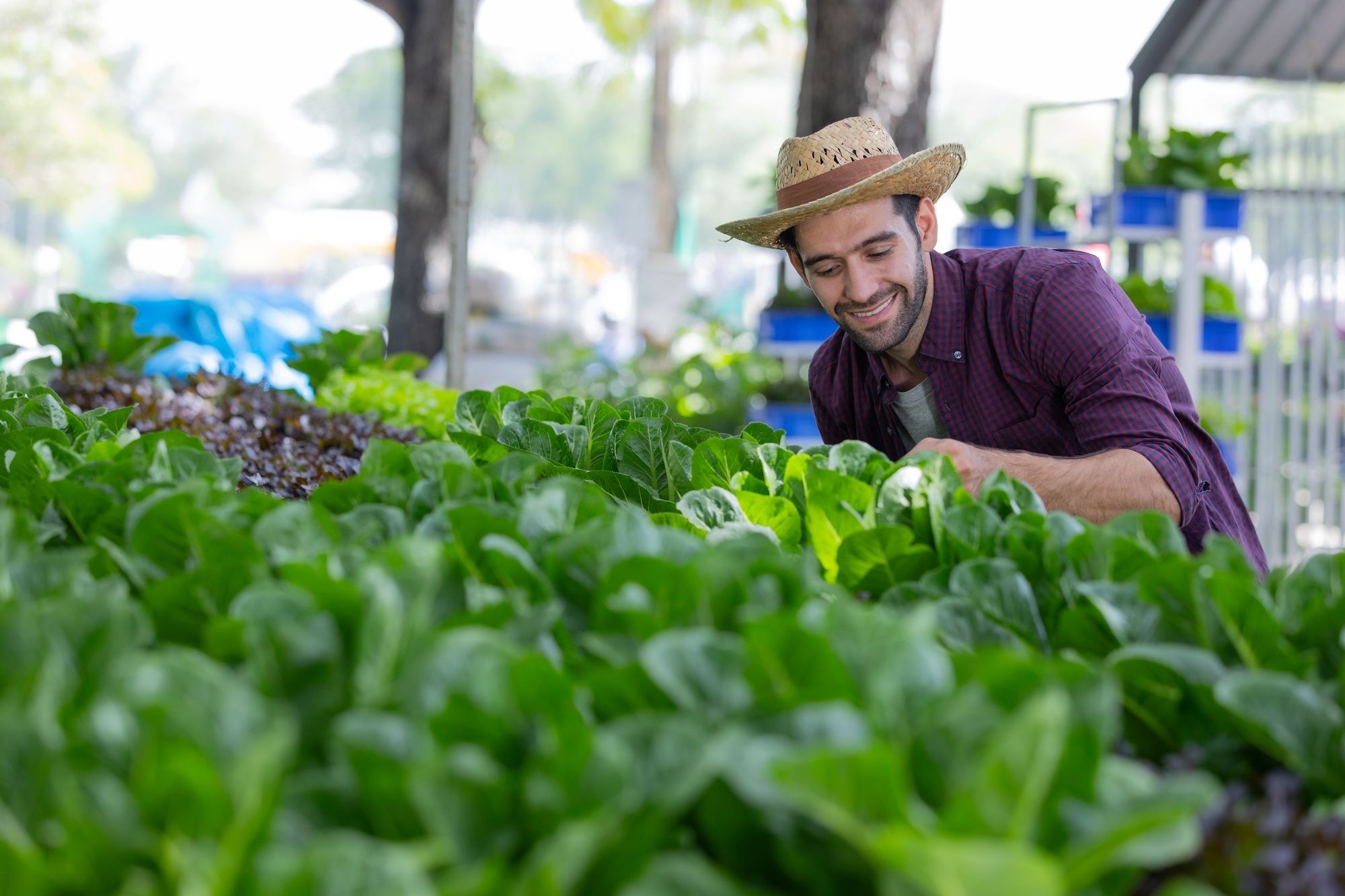 Ideas innovadoras de negocio de agricultura orgánica para emprendedores sostenibles