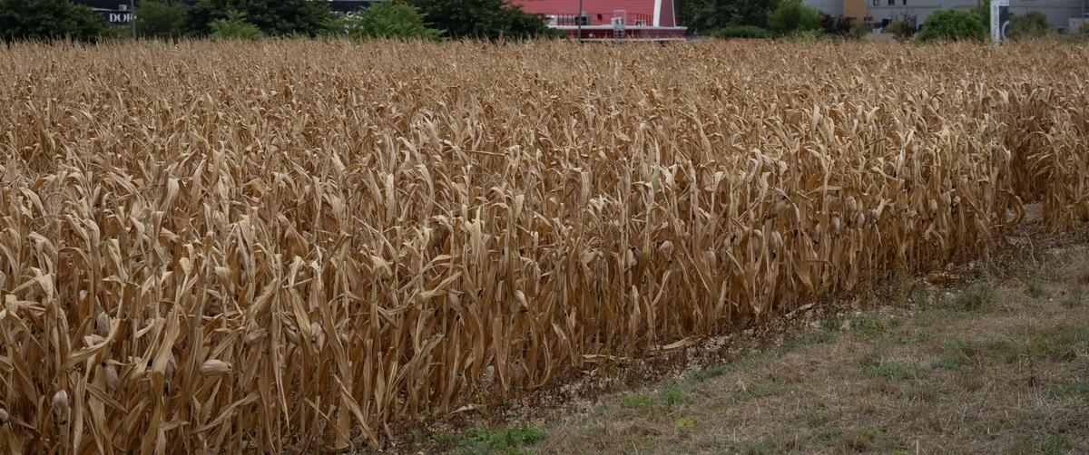 Agricultura en Dordoña: JA y FDSEA solicitan una reducción del impuesto predial