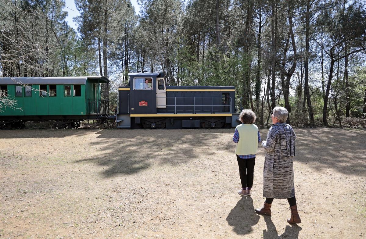 Landes: Marquèze, Chalosse Müzesi, Brassempouy… sıcak hava dalgası turistik yerlerin sezonunu bozdu