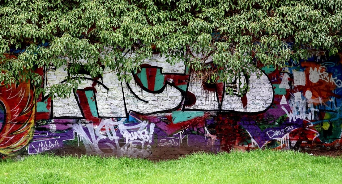 Del gris al verde: desarrollo integral de espacios urbanos con "Terra Group"