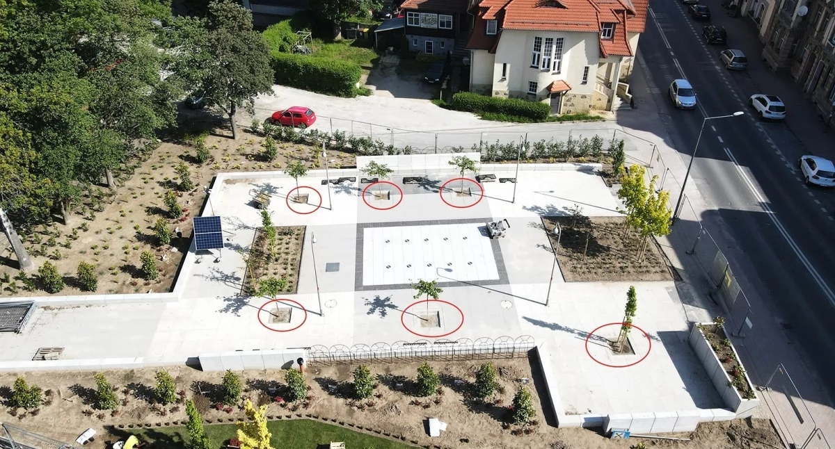 How much did the municipality pay for the plants at the fountain? ERGO responds