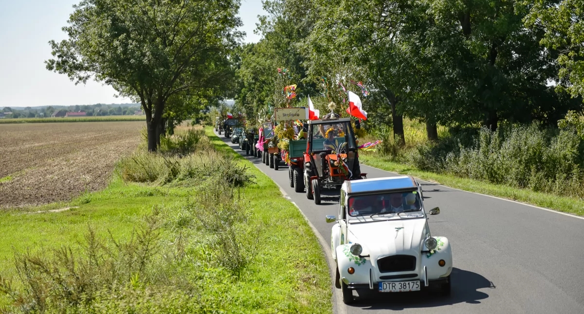 Prusice Commune Harvest Festival in Piotrkowice: Rich program and many attractions!