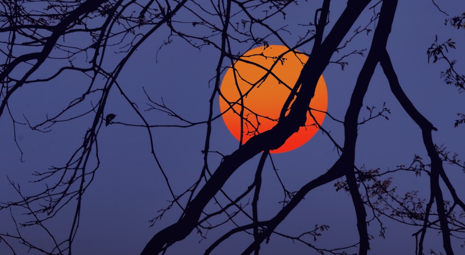 NASA doğruladı: Dünya'nın şu anda iki uydusu var