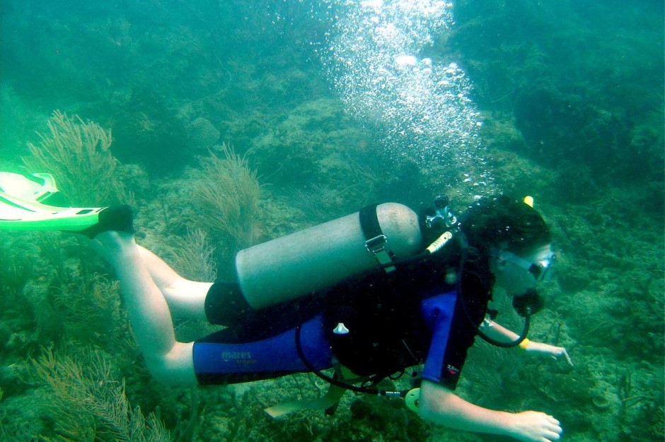 Company founded by Cousteau taken over by Austrian concern