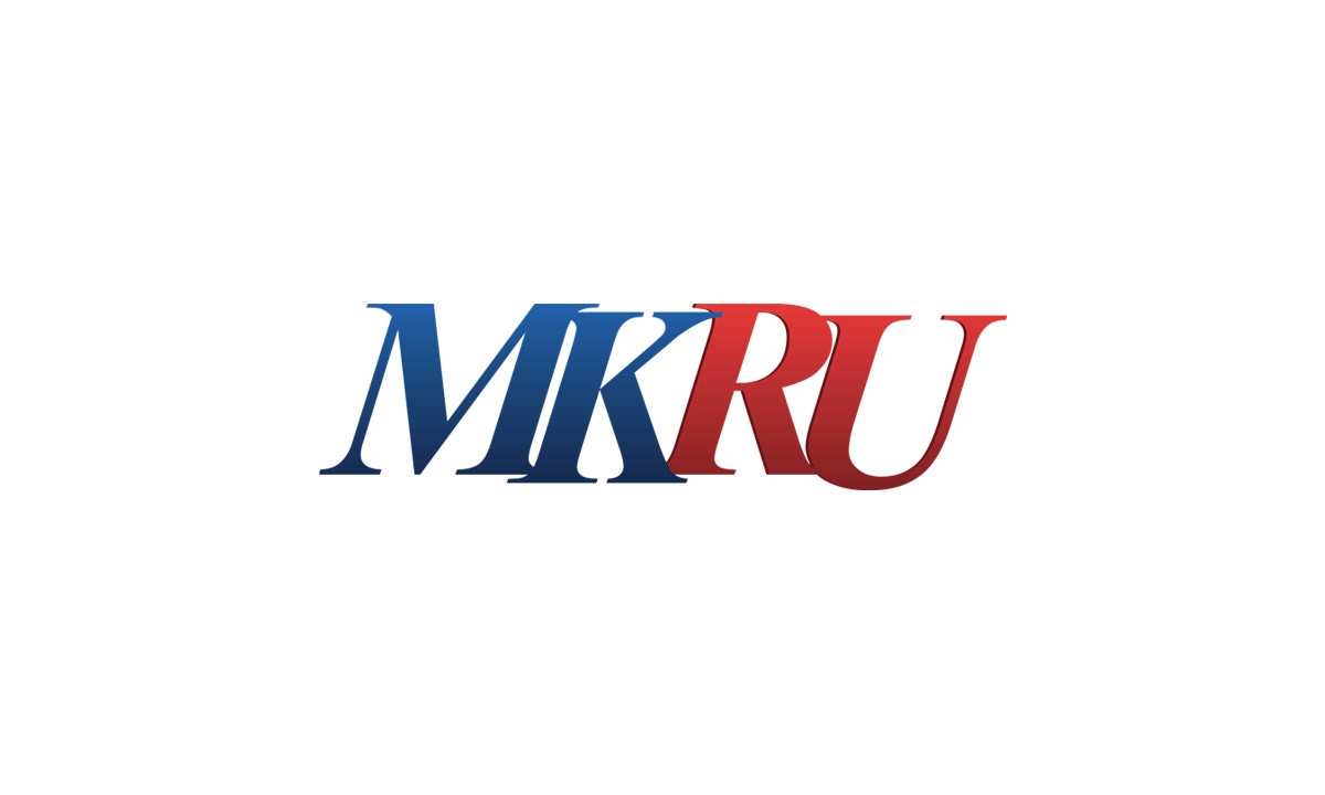 Stray dogs are being caught in Krasnogorodsk