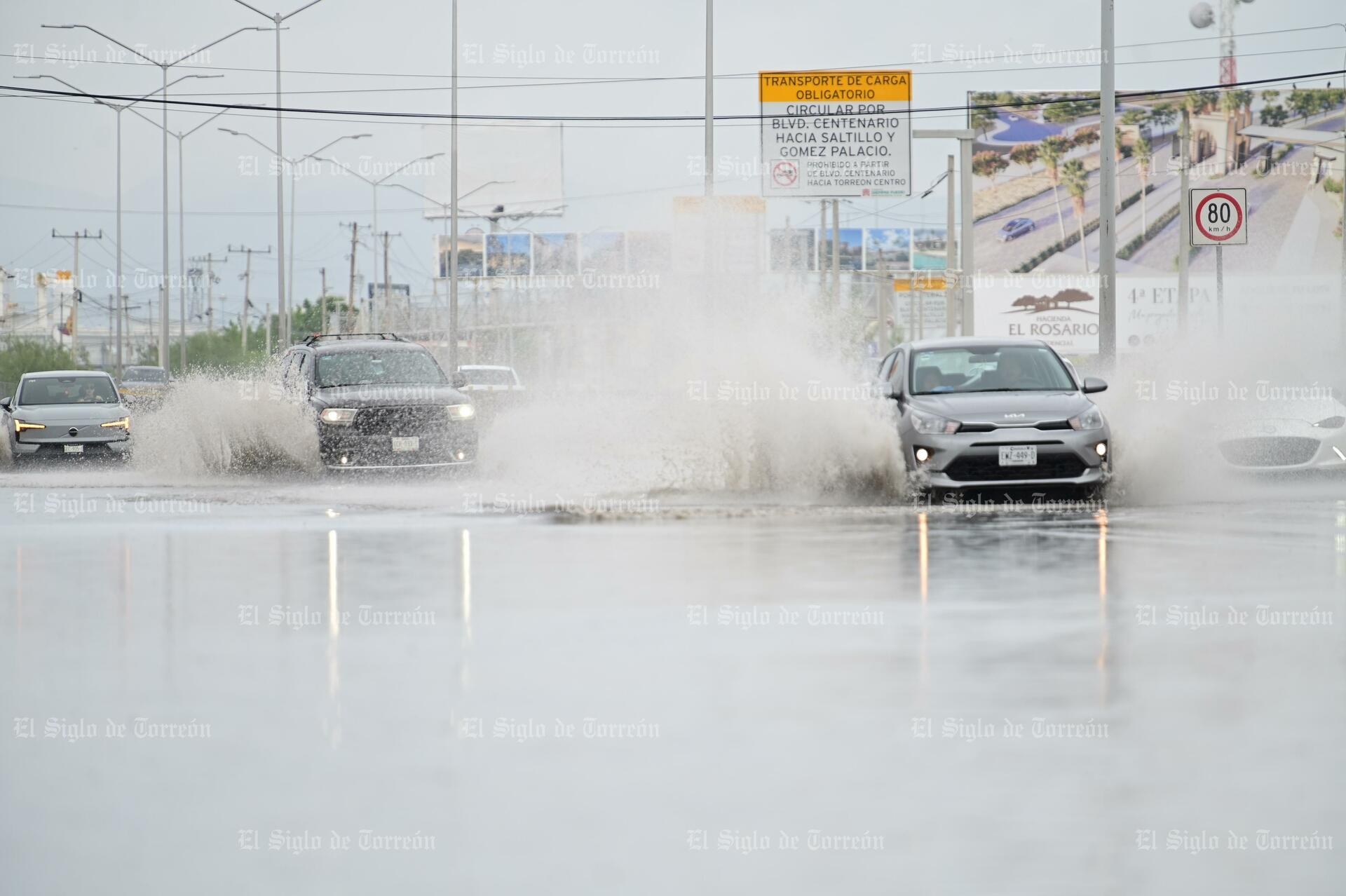 Rains in Torreón leave puddles at intersections and some fallen trees.