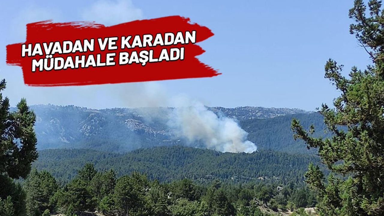 Pożar lasu w Mersin