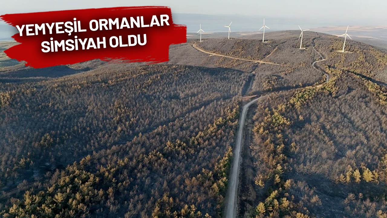 Tekirdağ-Feuer am 3. Tag!