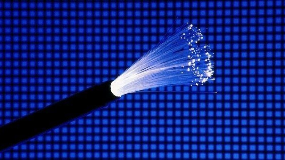 OECD: Digital connectivity improving, but rural areas lagging behind