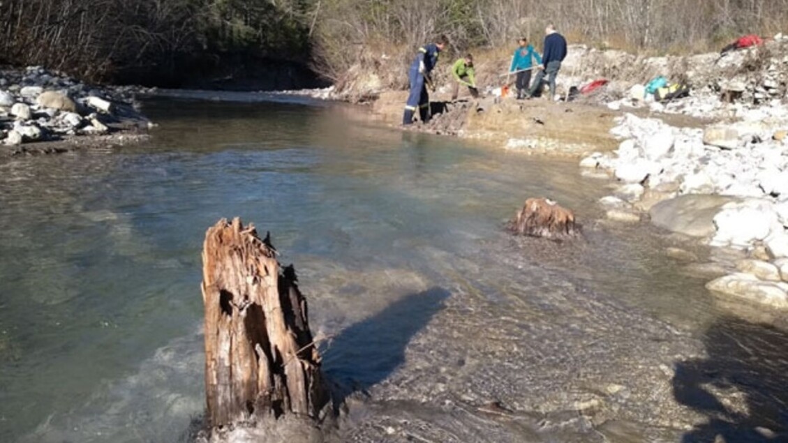Traces of a Violent Geomagnetic Storm in Fossil Tree Trunks