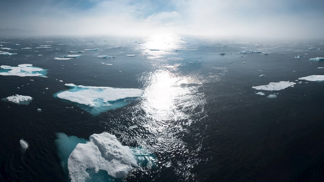 Between 2025 and 2029 global warming will increase by 1.5 degrees