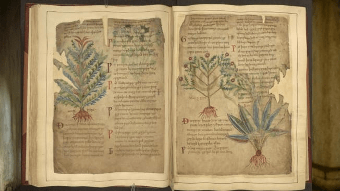In medieval medicine, trends similar to those of TikTok