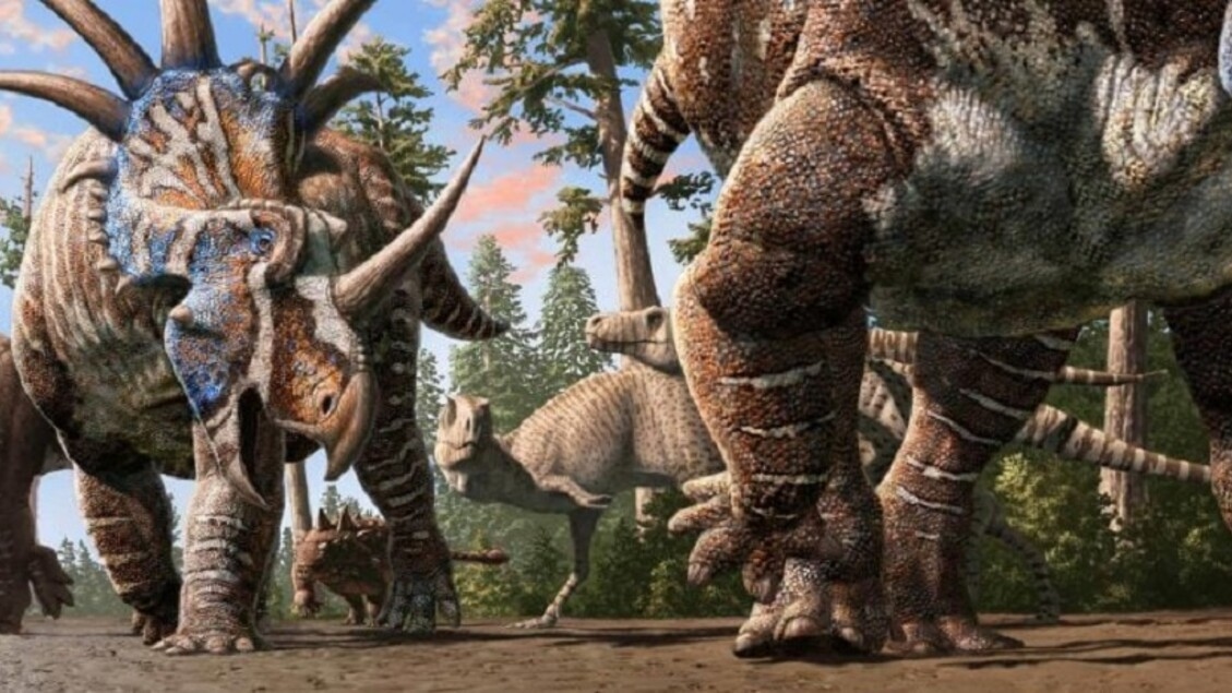 Dinosaurussen van verschillende soorten liepen samen, voetafdrukken gevonden