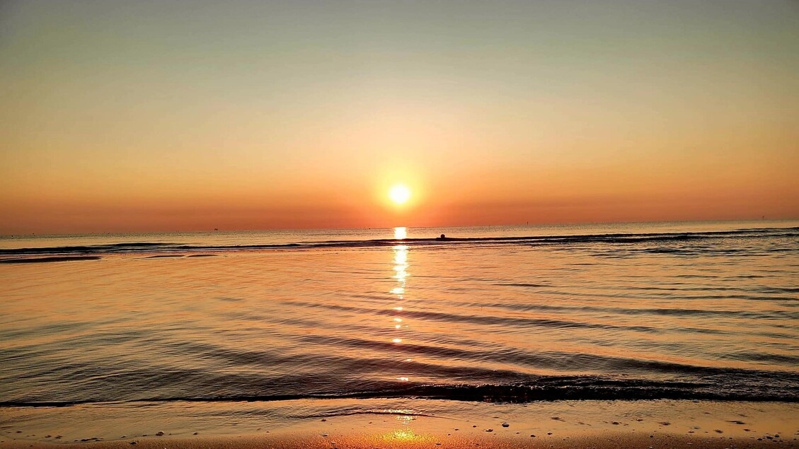 Origin of Mediterranean heatwaves discovered