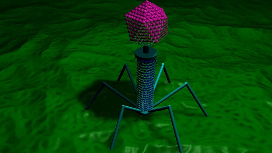 The first synthetic virus was obtained, with the help of AI.