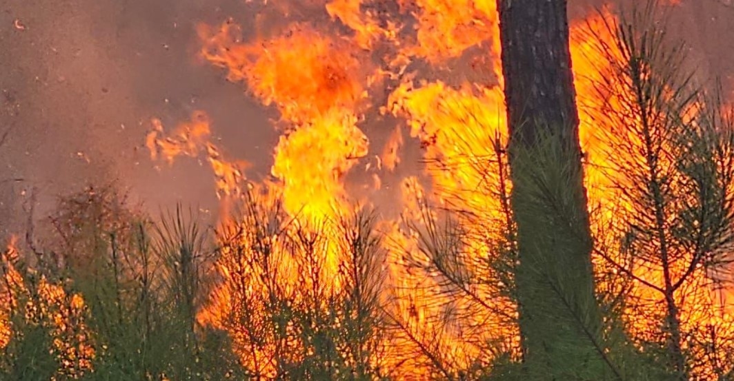 Maximum or high risk of rural fires in the north, center and Algarve
