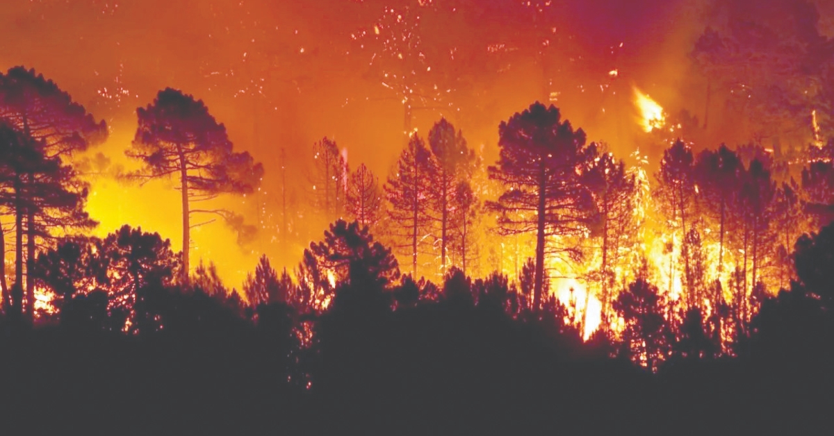 Almost 30 municipalities at maximum risk of fire, especially in the interior