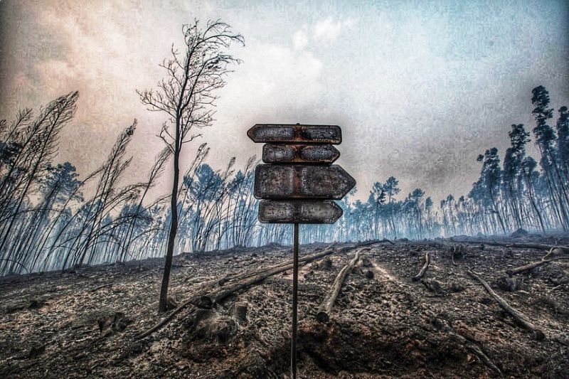 Most districts in the North, Center and Algarve regions are at maximum risk of fire