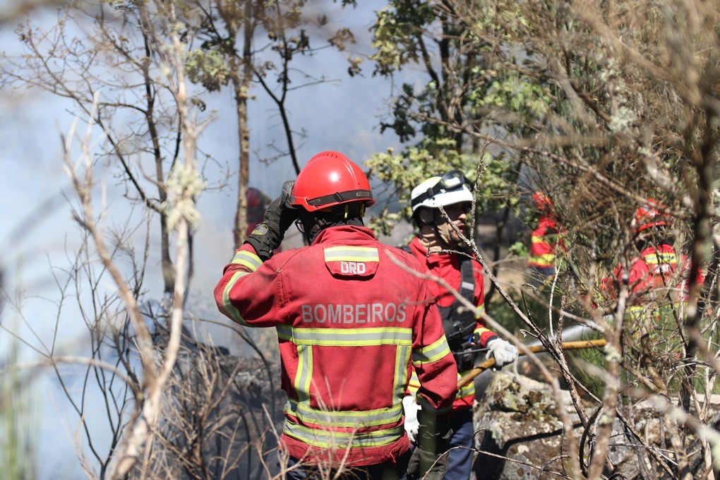 Fire in Sabrosa with one front and 80% of the perimeter dominated
