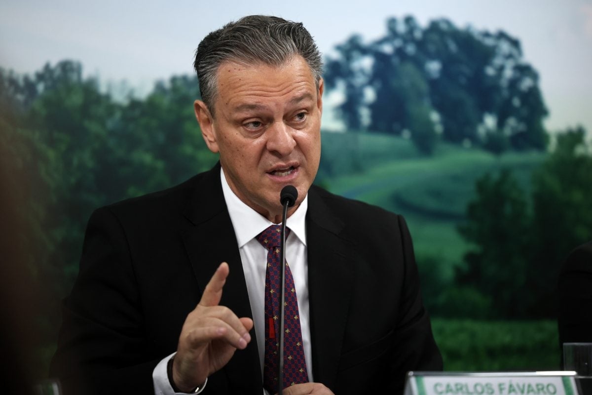 Brasil se declara libre de gripe aviar e impone fin al 'vacío sanitario'