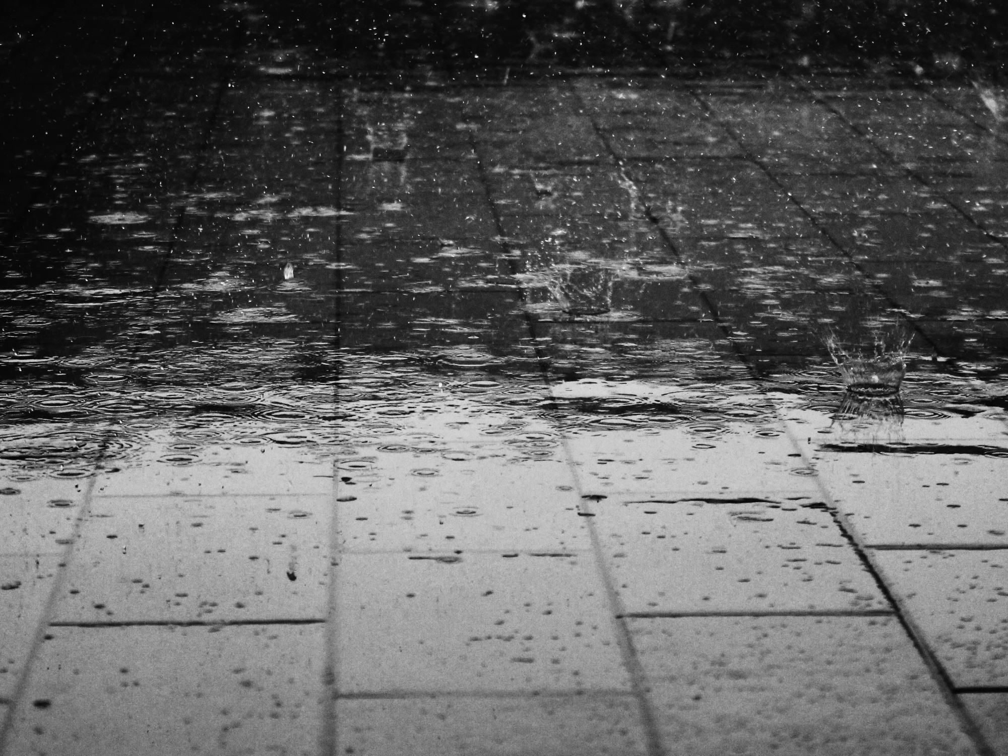 Meteo di oggi a San Salvador, El Salvador: le previsioni del tempo per questa domenica 24 agosto 2025