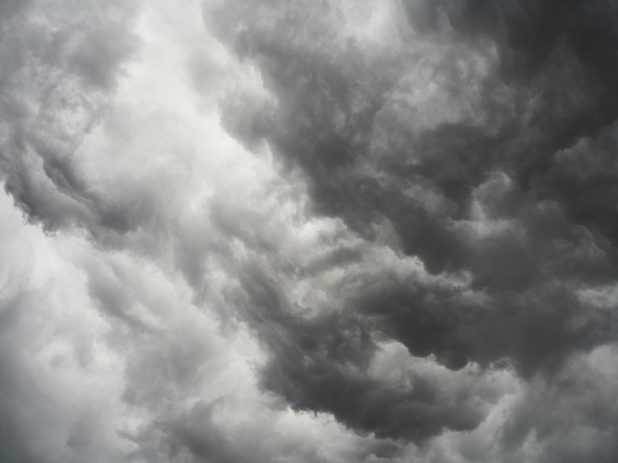 Clima hoy en Campana, Buenos Aires: el pronóstico del tiempo para este domingo 8 junio de 2025