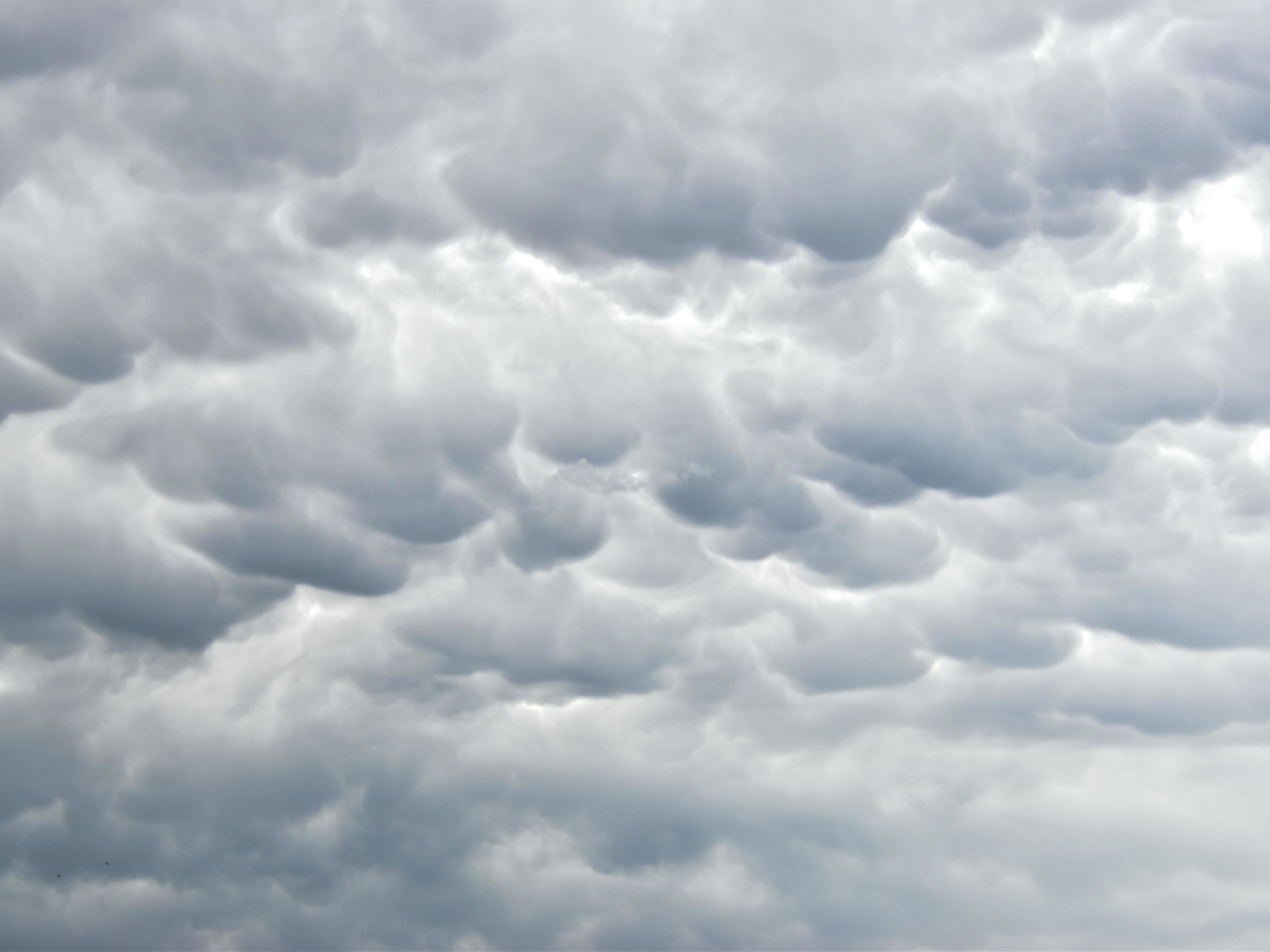 Clima hoje em Santa Rosa, La Pampa: previsão do tempo para esta sexta-feira, 13 de junho de 2025