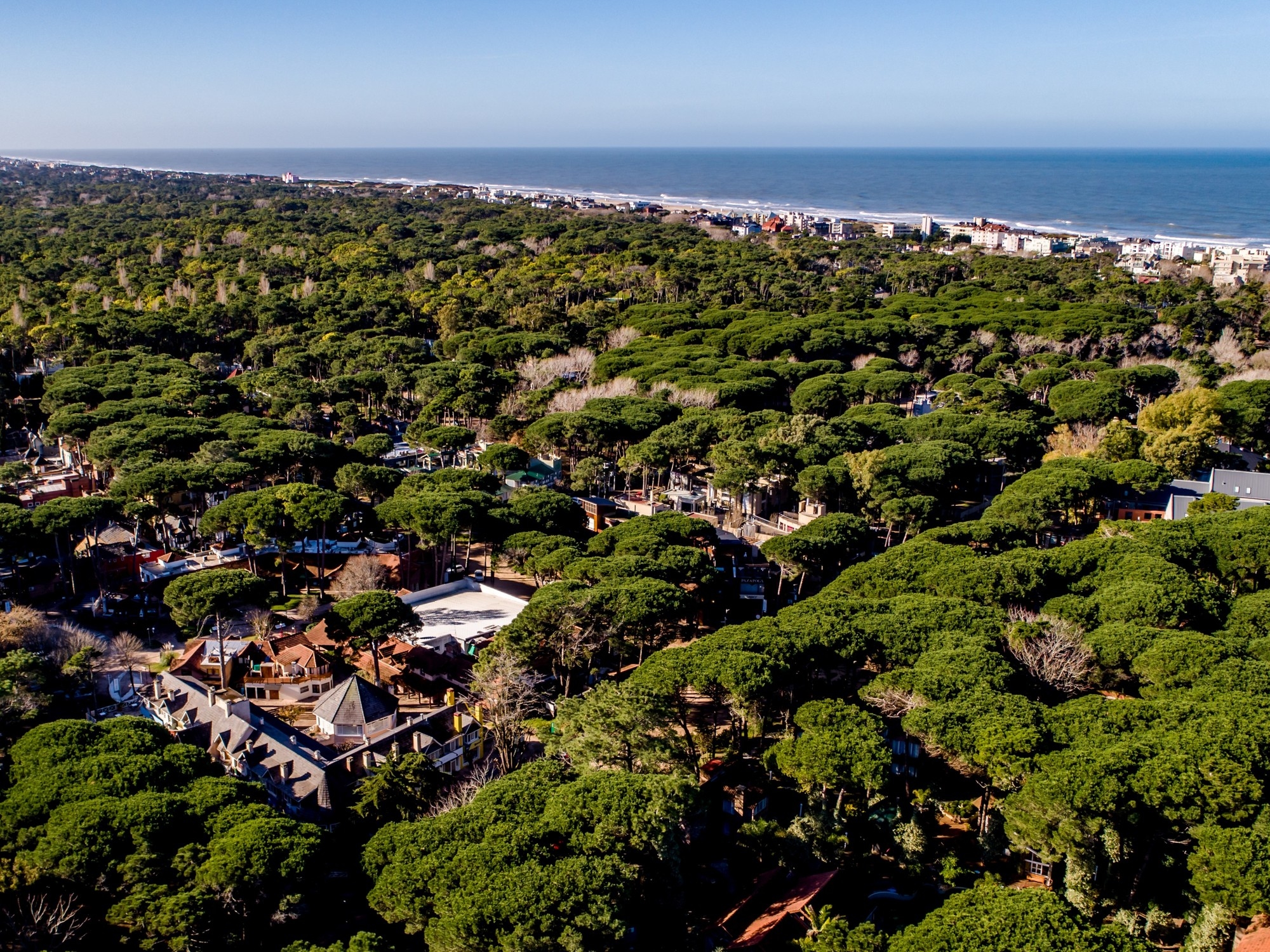 Um fim de semana diferente em Cariló: terapia na floresta, tigelas tibetanas e uma oficina para corações partidos.